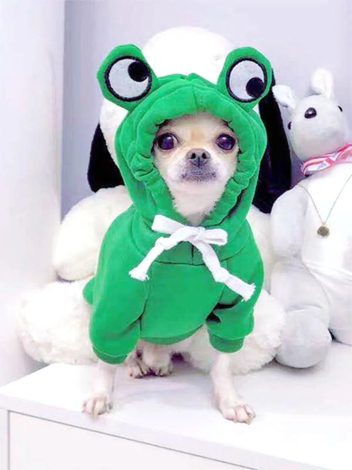Froggy Dog Sweater – Cute Knit Hoodie for Small Dogs