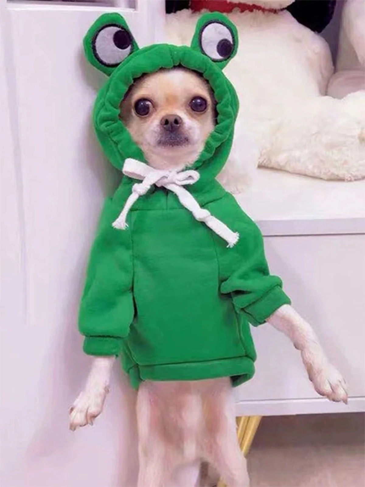 Froggy Dog Sweater – Cute Knit Hoodie for Small Dogs