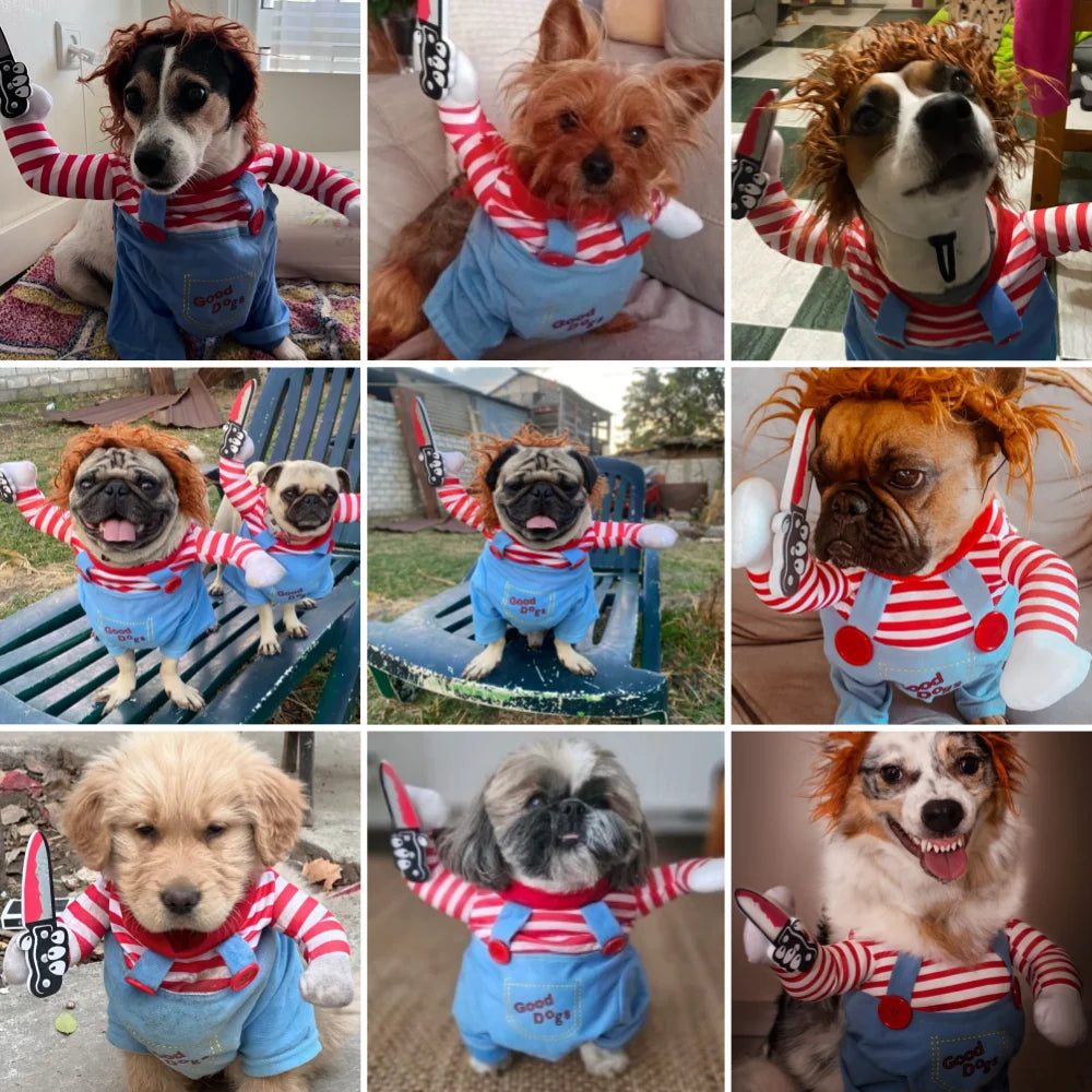 Funny Halloween Dog Costume – Cosplay Party Outfit