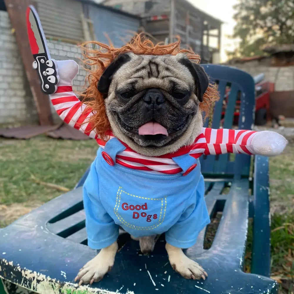 Funny Halloween Dog Costume – Cosplay Party Outfit