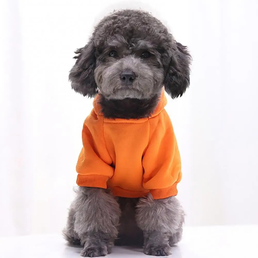 Cozy Winter Dog Hoodie – Fleece-Lined Sweatshirt Jacket