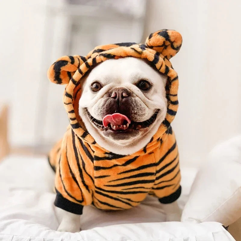 Coral Fleece Pet Costume – Lion & Animal Cosplay Coat