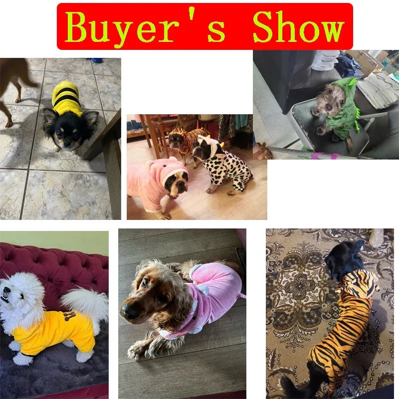 Coral Fleece Pet Costume – Lion & Animal Cosplay Coat