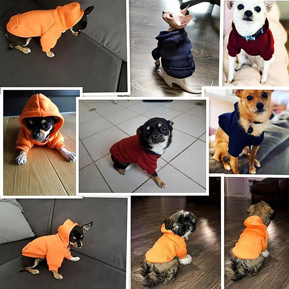 Cozy Winter Dog Hoodie – Fleece-Lined Sweatshirt Jacket